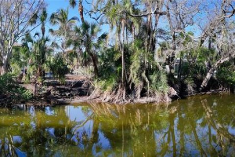 Land in Sarasota, Florida № 2103945 - photo 12