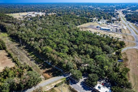 Terrain à vendre à Ocala, Floride № 345829 - photo 14