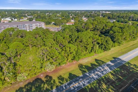 Land in Palm Bay, Florida № 1754659 - photo 30