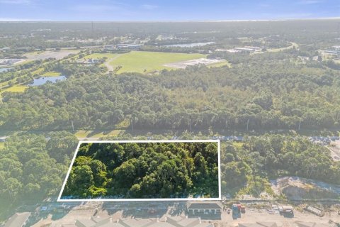 Land in Palm Bay, Florida № 1754659 - photo 5