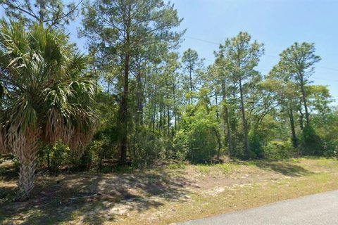 Terrain à vendre à Dunnellon, Floride № 2196739 - photo 4