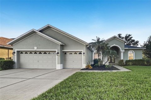 Villa ou maison à Valrico, Floride 4 chambres, 241.55 m2 № 2415045