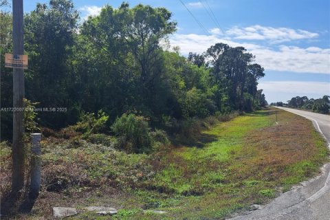 Commercial property in Clewiston, Florida № 1702505 - photo 3