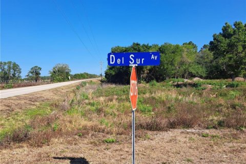 Commercial property in Clewiston, Florida № 1702505 - photo 2