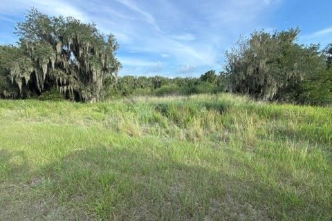 Land in Fort Meade, Florida № 2148033 - photo 15