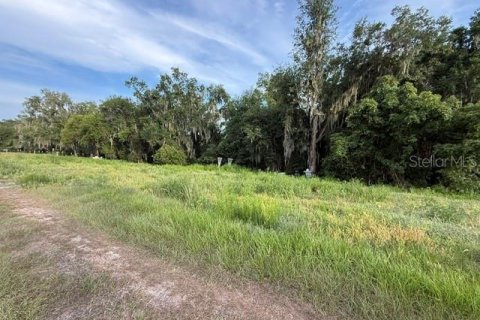 Land in Fort Meade, Florida № 2148033