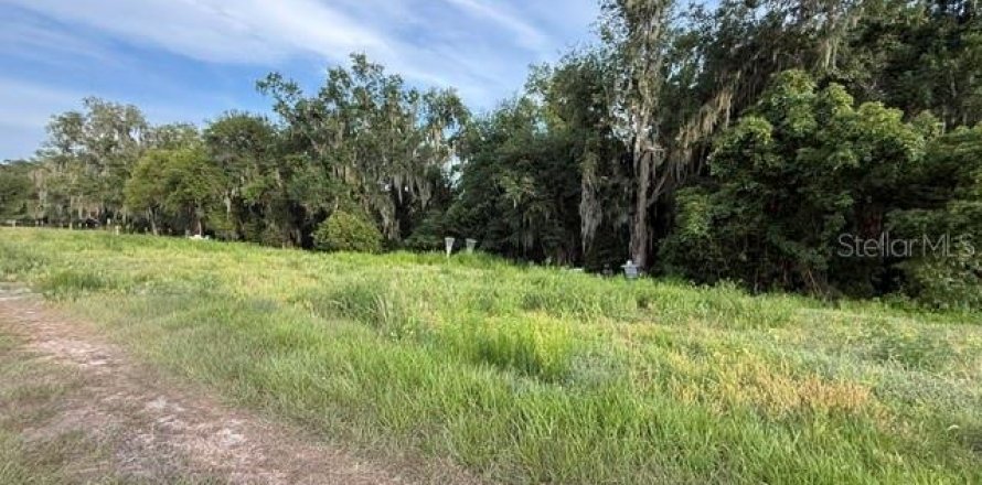 Land in Fort Meade, Florida № 2148033