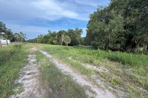 Land in Fort Meade, Florida № 2148033 - photo 10