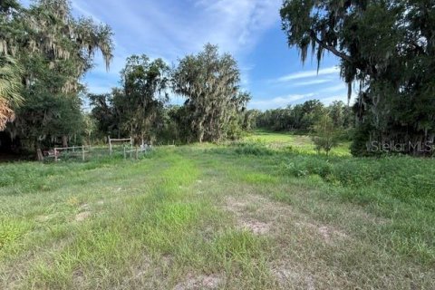 Land in Fort Meade, Florida № 2148033 - photo 6
