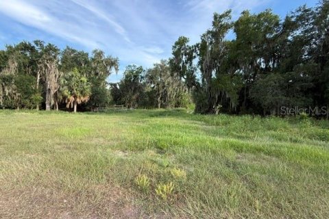 Land in Fort Meade, Florida № 2148033 - photo 7
