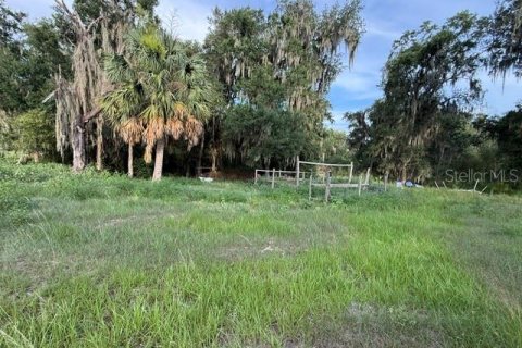 Land in Fort Meade, Florida № 2148033 - photo 4