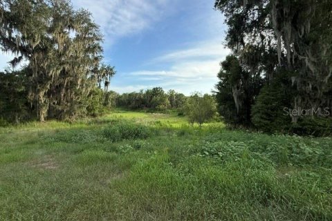 Land in Fort Meade, Florida № 2148033 - photo 5