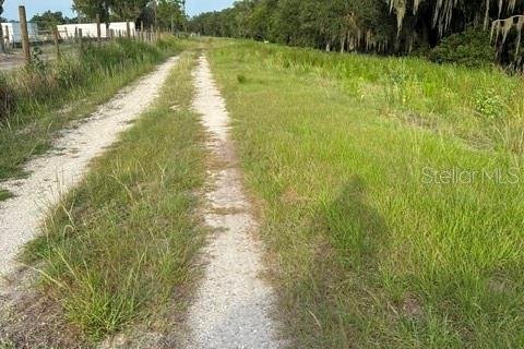 Land in Fort Meade, Florida № 2148033 - photo 14