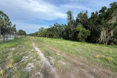 Land in Fort Meade, Florida № 2148033 - photo 2