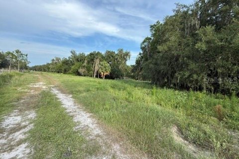 Land in Fort Meade, Florida № 2148033 - photo 9