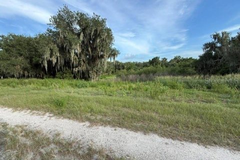 Land in Fort Meade, Florida № 2148033 - photo 13