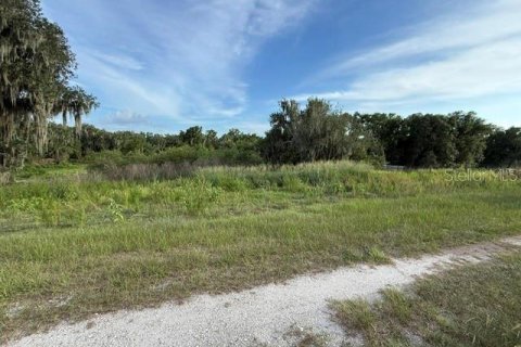 Land in Fort Meade, Florida № 2148033 - photo 12