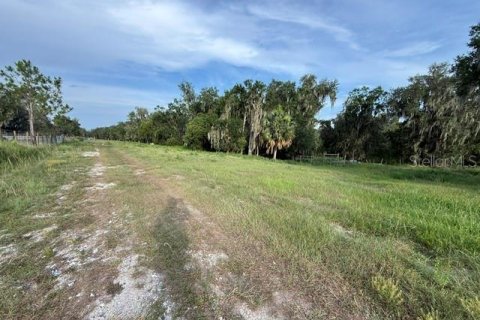 Land in Fort Meade, Florida № 2148033 - photo 8