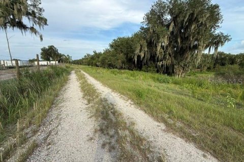 Land in Fort Meade, Florida № 2148033 - photo 11