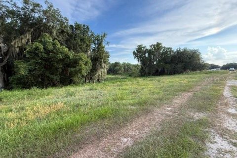 Land in Fort Meade, Florida № 2148033 - photo 3