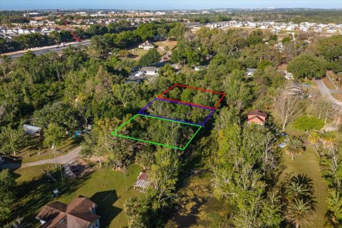Land in Winter Garden, Florida № 393258 - photo 3