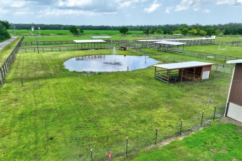 Land in Bunnell, Florida № 1851078 - photo 12