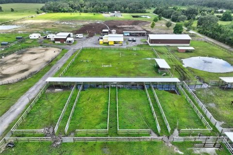 Land in Bunnell, Florida № 1851078 - photo 24