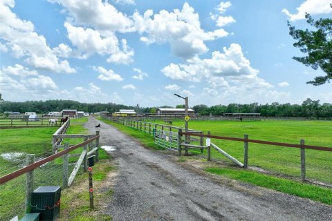 Land in Bunnell, Florida № 1851078 - photo 16