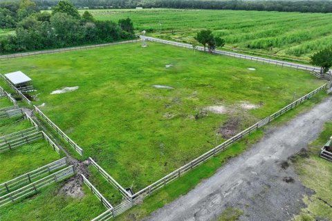 Land in Bunnell, Florida № 1851078 - photo 22