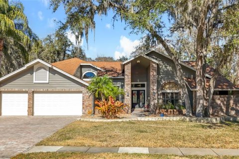 Villa ou maison à Oldsmar, Floride 6 chambres, 415.74 m2 № 2094449