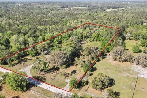 Commercial property in Brooksville, Florida 151.99 sq.m. № 1650129 - photo 1