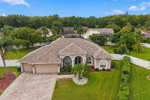 Villa ou maison à New Port Richey, Floride 4 chambres, 253.34 m2 № 2406418