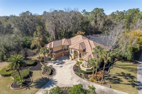 Casa en venta en Ocala, Florida, 5 dormitorios, 496.47 m2 № 2204498 - foto 2
