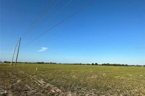 Land in Wauchula, Florida № 2102908 - photo 2
