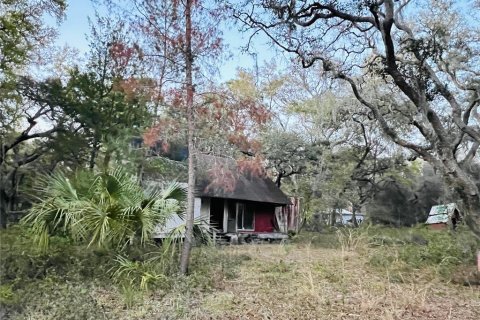 House in Ocklawaha, Florida 1 bedroom, 83.05 sq.m. № 2210189