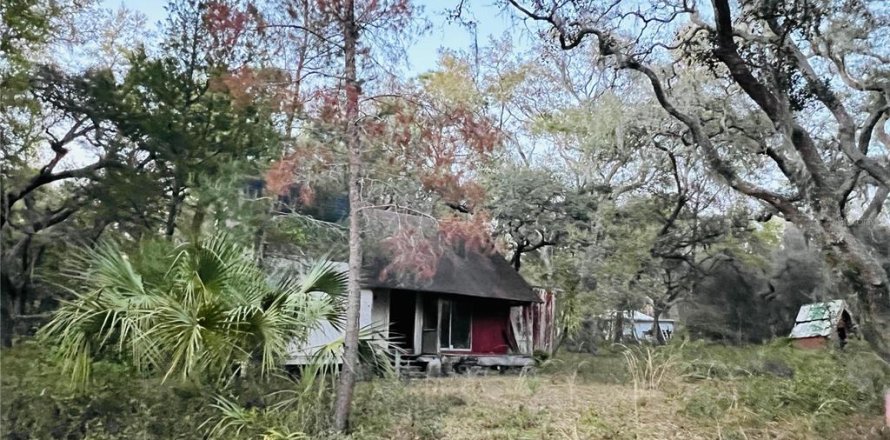 Casa en Ocklawaha, Florida 1 dormitorio, 83.05 m2 № 2210189