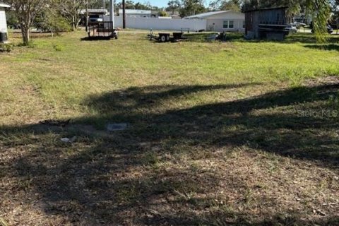 Land in Frostproof, Florida № 2163064 - photo 4