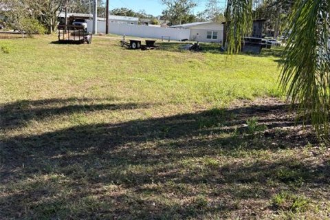 Land in Frostproof, Florida № 2163064 - photo 3