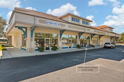 Propiedad comercial en venta en Palm Harbor, Florida, 84.82 m2 № 2166403 - foto 2