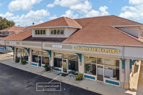 Propiedad comercial en Palm Harbor, Florida 84.82 m2 № 2166403