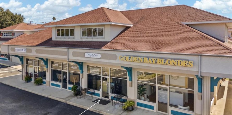 Propiedad comercial en Palm Harbor, Florida 84.82 m2 № 2166403