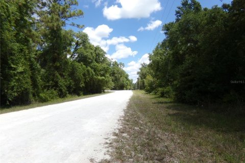 Land in Webster, Florida № 2159413 - photo 5