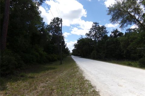 Land in Webster, Florida № 2159413 - photo 4