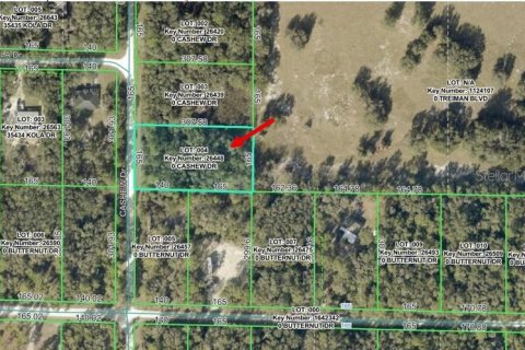 Land in Webster, Florida № 2159413