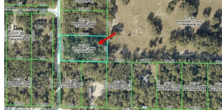 Land in Webster, Florida № 2159413