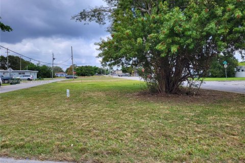 Commercial property in Homestead, Florida № 1811502 - photo 4
