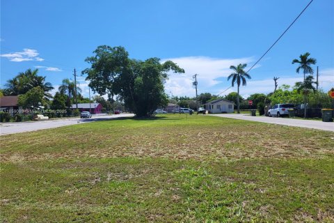 Commercial property in Homestead, Florida № 1811502 - photo 3