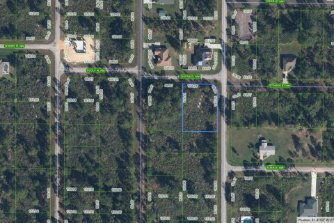 Immobilier commercial à Lake Placid, Floride № 2261253