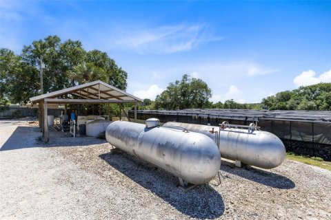 Commercial property in Minneola, Florida № 2228491 - photo 16