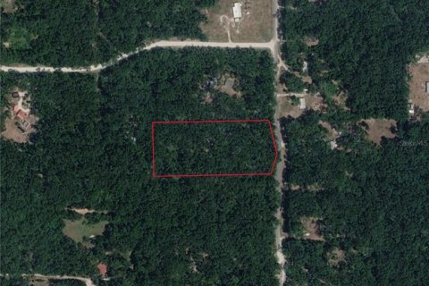 Land in Old Town, Florida № 2195394